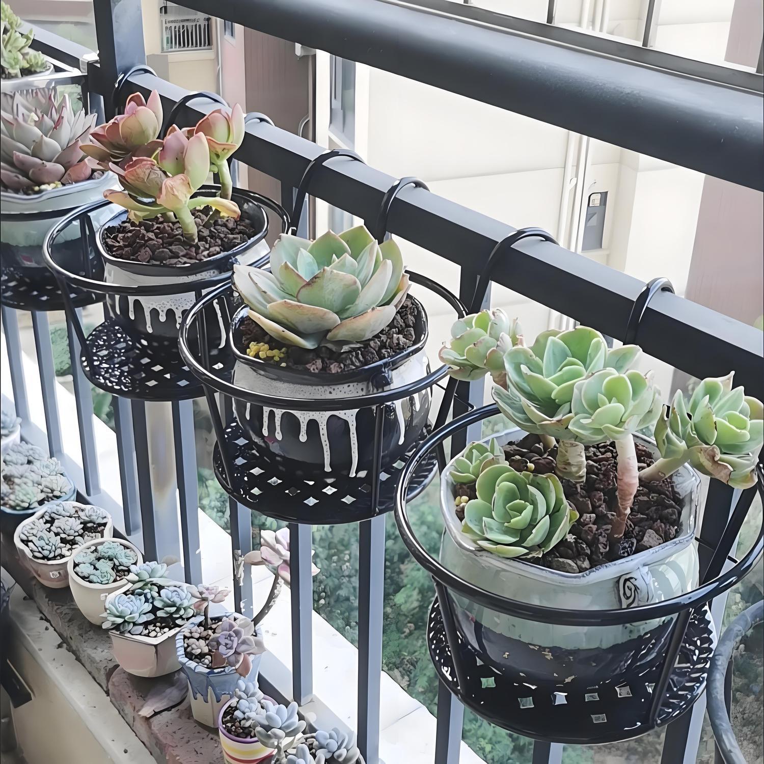 Wrought Iron Balcony Hanging F - Spider Plant Hanging 评论和价格