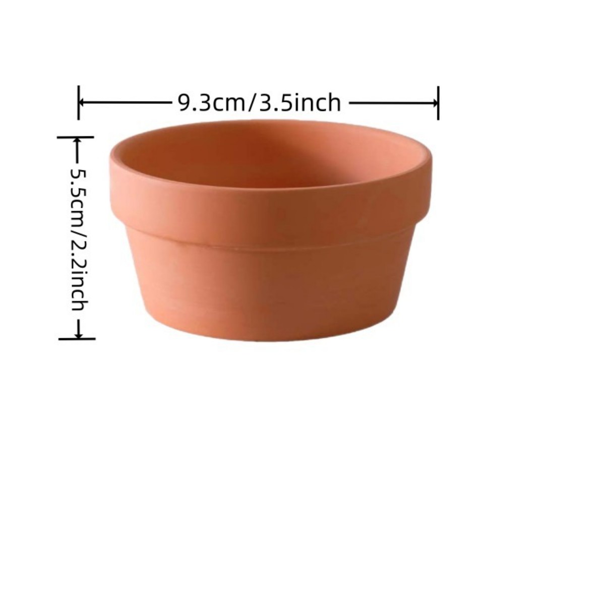 6 PCS Terracotta Buld Pots 3.5 - Aloe Vera Pot 评论和价格