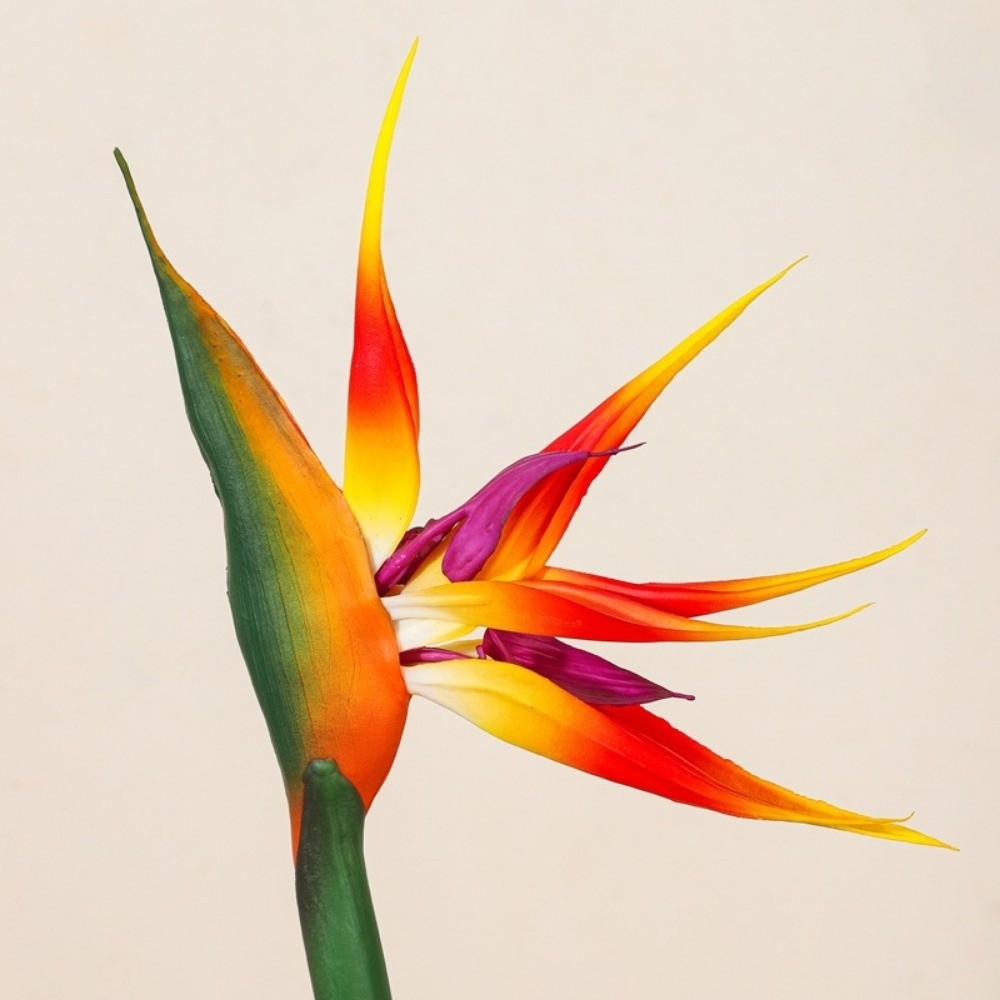 New Long Stem Artificial Bird  - Bird Paradise Strelitzia 评论和价格