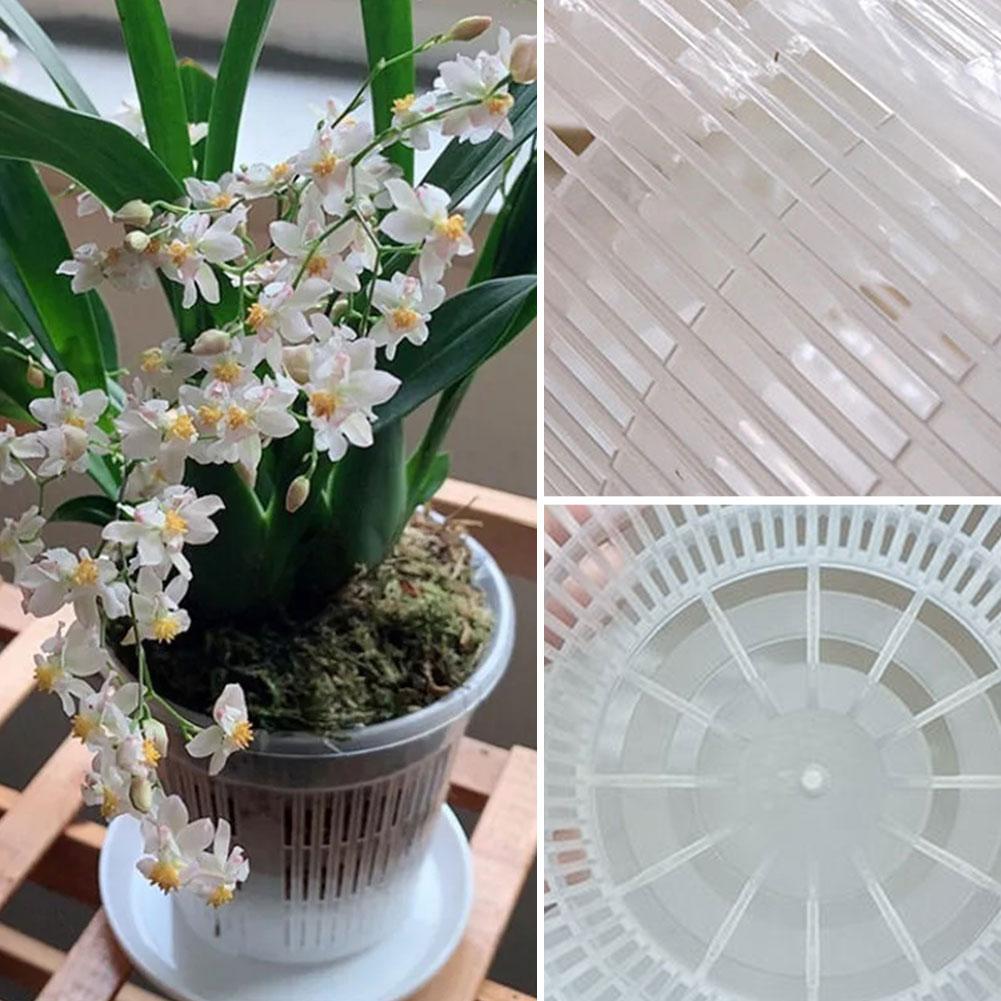 Mesh Pot Root Control Transpar - Aloe Vera Pot 评论和价格