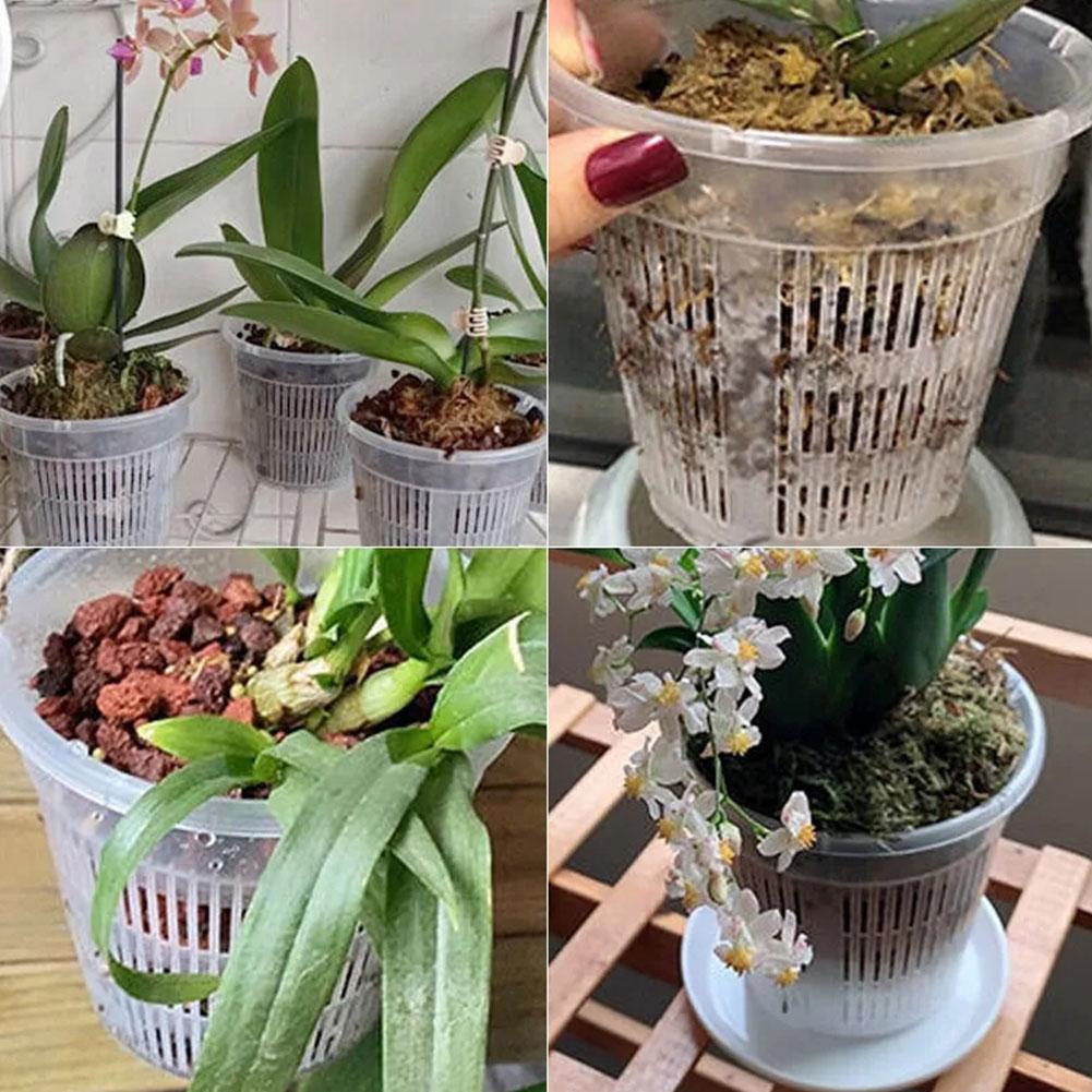 Mesh Pot Root Control Transpar - Aloe Vera Pot 评论和价格