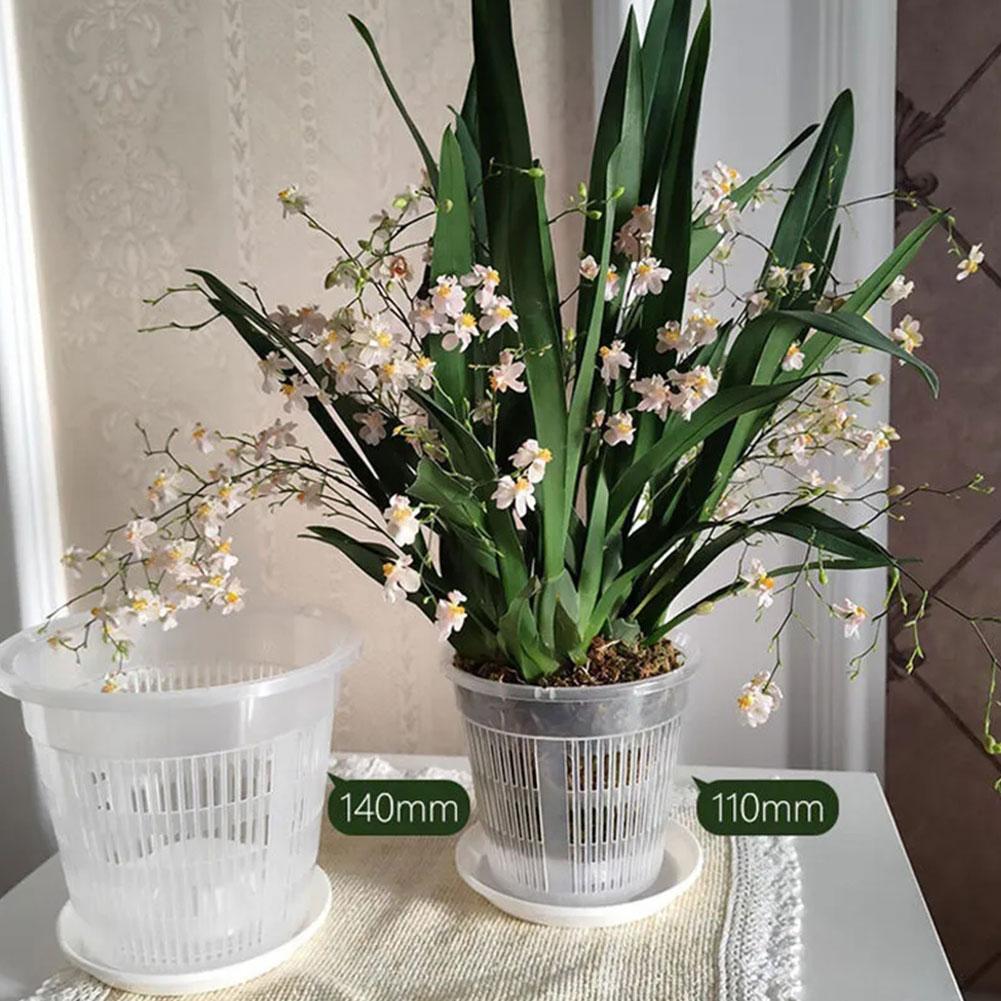 Mesh Pot Root Control Transpar - Aloe Vera Pot 评论和价格