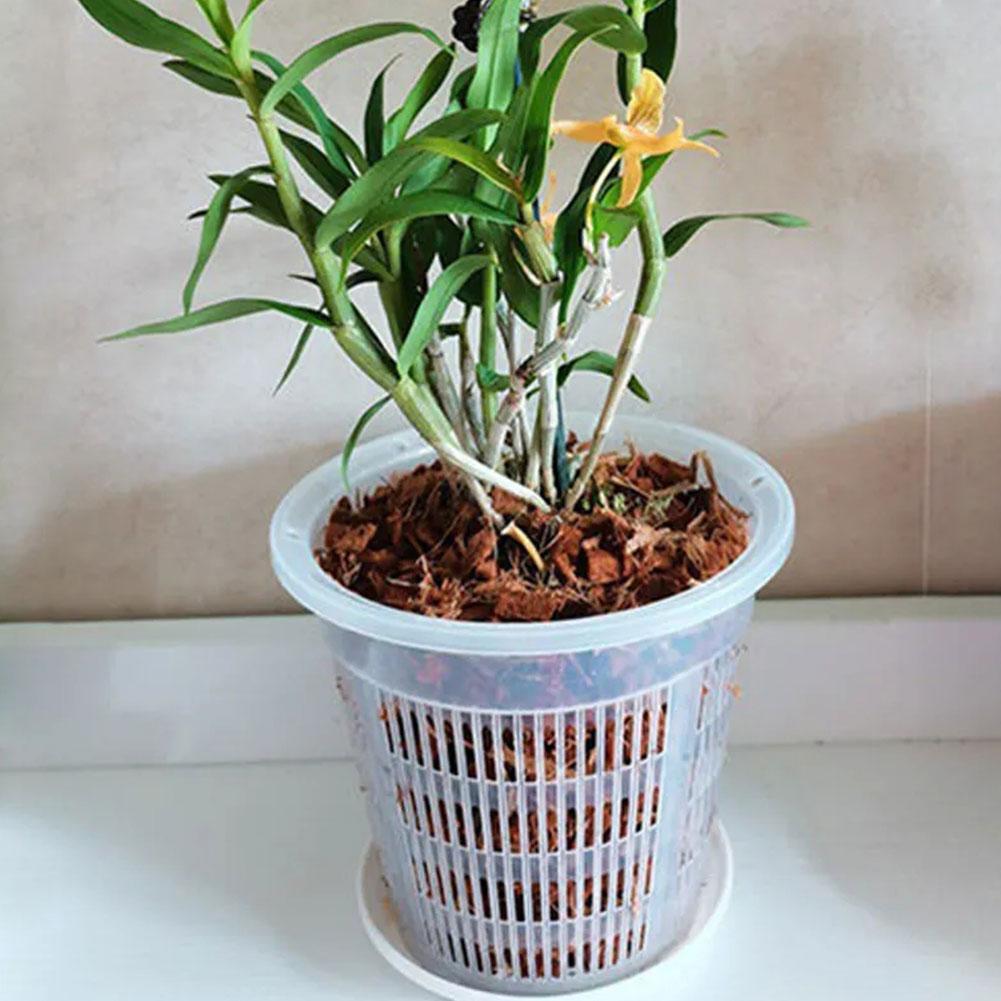 Mesh Pot Root Control Transpar - Aloe Vera Pot 评论和价格