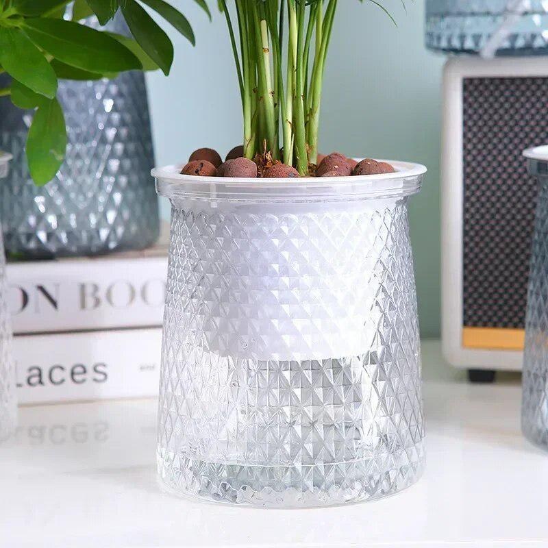 2024 Transparent Self Watering - Aloe Vera Pot 评论和价格