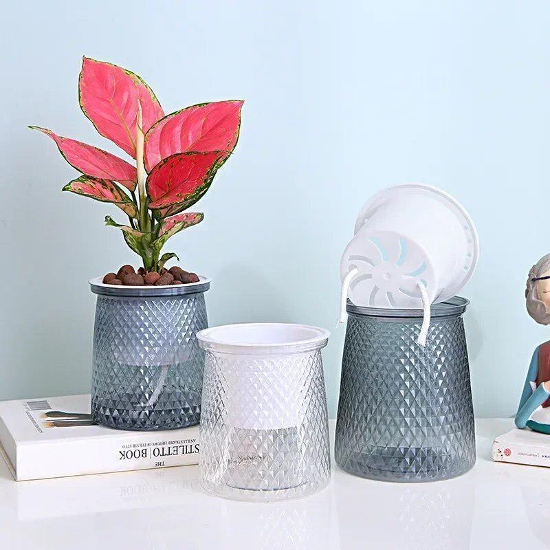 2024 Transparent Self Watering - Aloe Vera Pot 评论和价格
