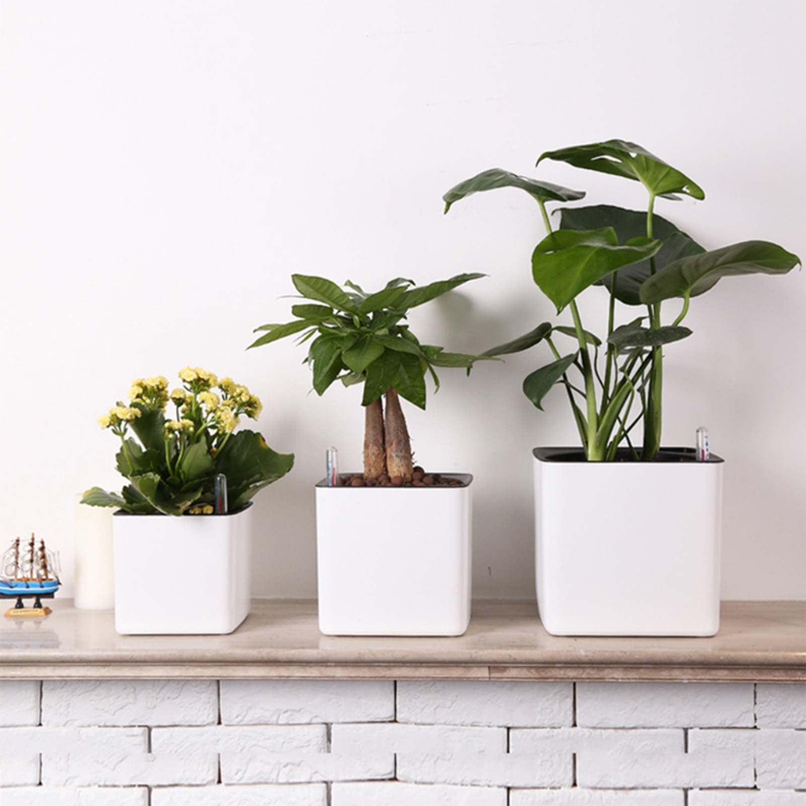 Self Watering Planter Self-wat - Aloe Vera Pot 评论和价格