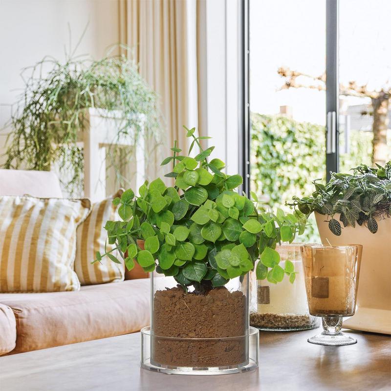 Clear Plant Pots With Drainage - Aloe Vera Pot 评论和价格