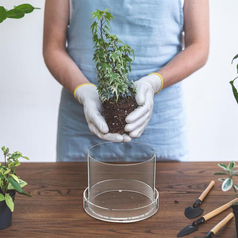 Clear Plant Pots With Drainage - Aloe Vera Pot 评论和价格