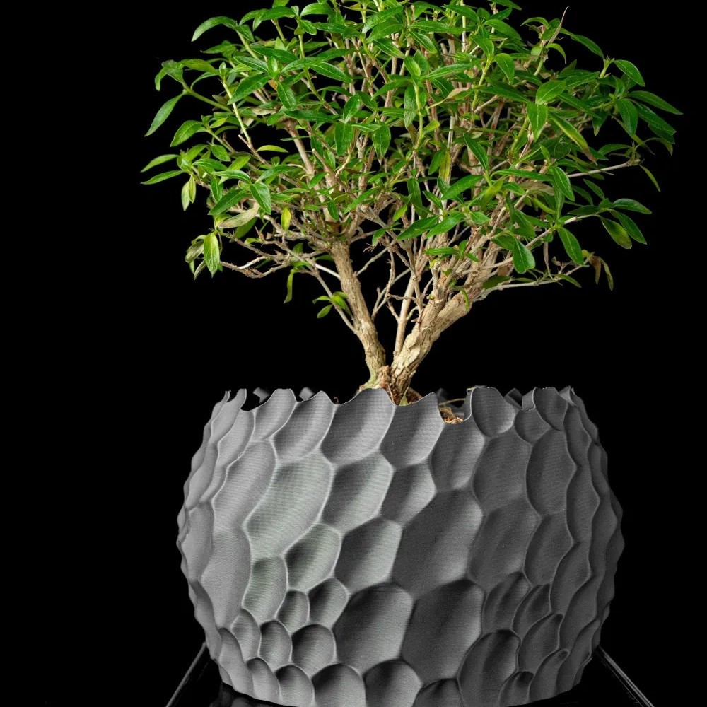 Textured Flower Pot Irregular  - Aloe Vera Pot 评论和价格