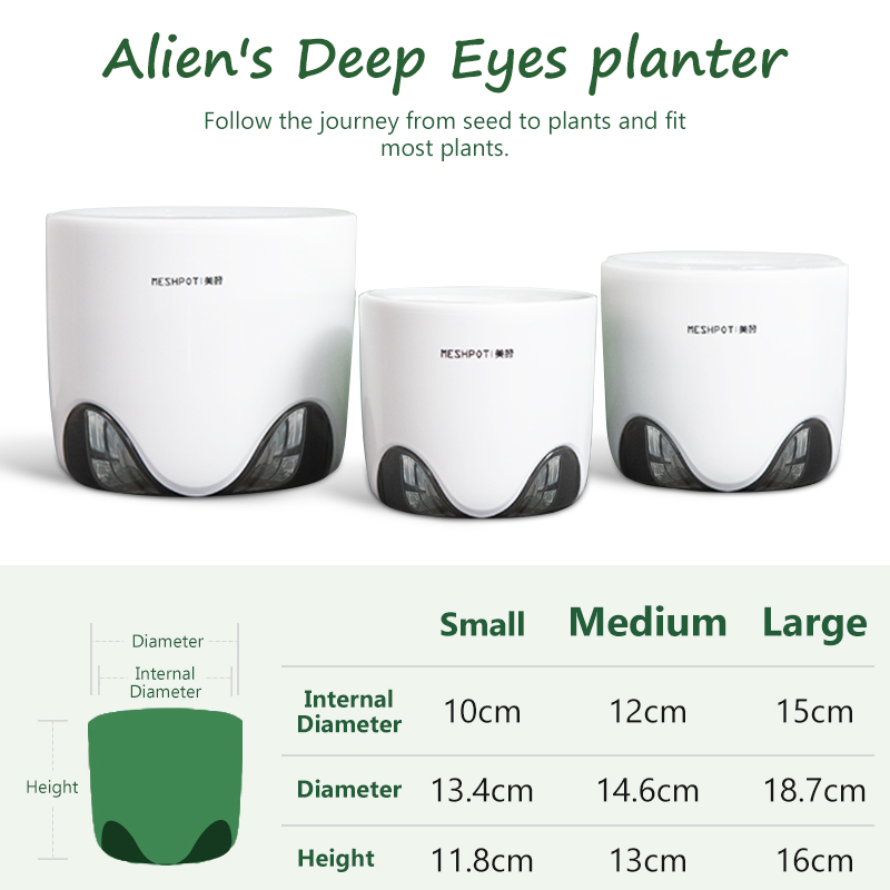 Meshpot Orchid Pots with Holes - Aloe Vera Pot 评论和价格