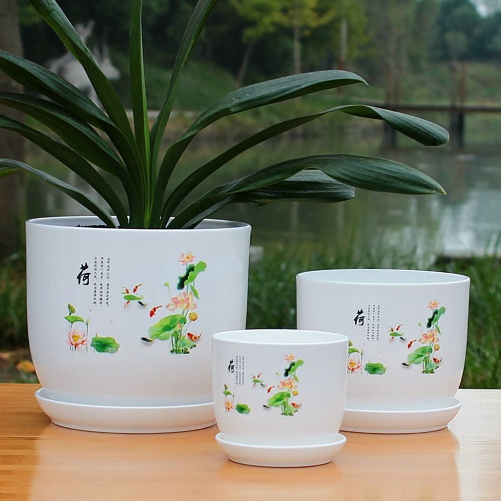 Extra Large Plastic Flower Pot - Aloe Vera Pot 评论和价格